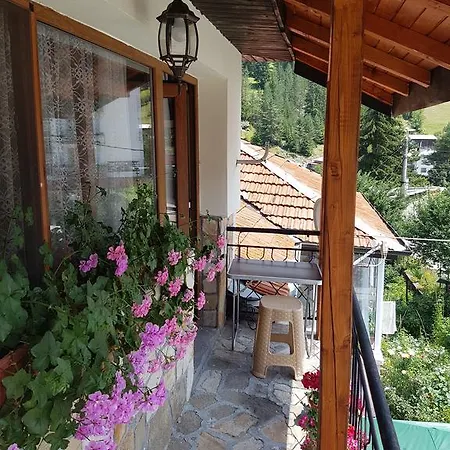 Iglika Guest house *