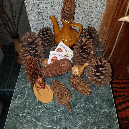 Iglika Guest house